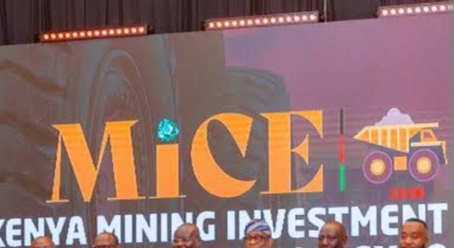 Alake calls for united African front to capture greater value from global mineral economy