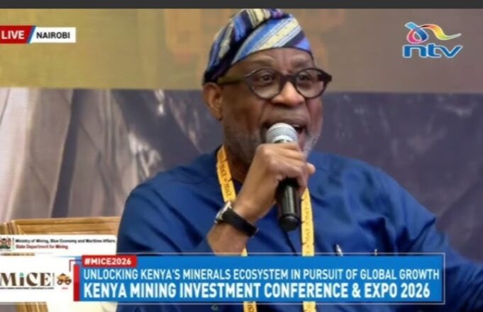 Alake calls for united African front to capture greater value from global mineral economy