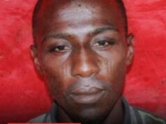 Court jails truck driver, orders forfeiture of 25 tons of Lithium Minerals