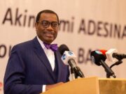 Adesina appointed chairman of Botswana’s Diamonds for Development Fund