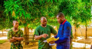 Joint Army, Mining Marshals operation leads to arrest of 15 suspected illegal miners in Abuja