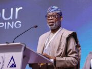 AFNIS is delivering real outcomes – Dele Alake