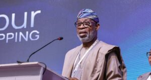 AFNIS is delivering real outcomes – Dele Alake