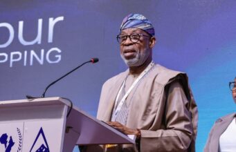 AFNIS is delivering real outcomes – Dele Alake