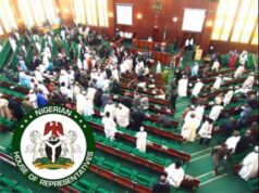 Reps Committee calls for teamwork against illegal mining
