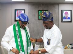 Geo-tourism Plan showcasing Nigeria’s rich mineral assets underway – Alake
