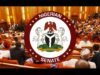 Senate decries Kogi coal mining site disaster, calls for urgent federal intervention