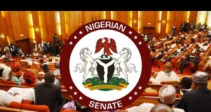 Senate decries Kogi coal mining site disaster, calls for urgent federal intervention