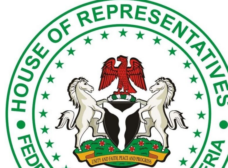 Reps Committee on Mineral Resources to tour Nasarawa mining communities