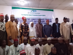 NEPC urges end to raw mineral exports to boost global competitiveness