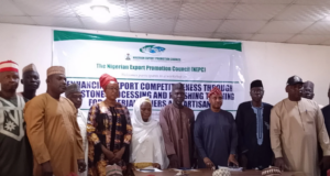 NEPC urges end to raw mineral exports to boost global competitiveness