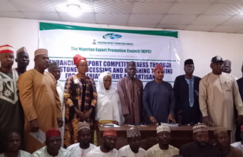 NEPC urges end to raw mineral exports to boost global competitiveness