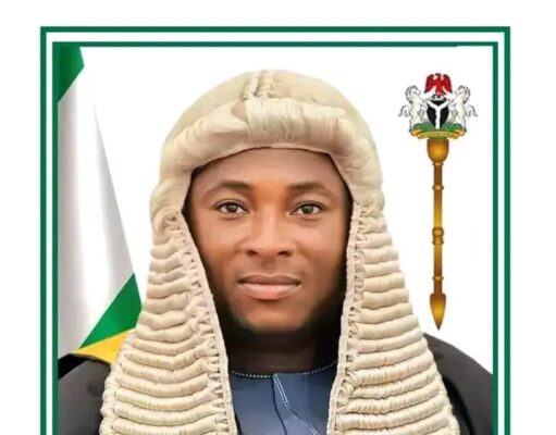 Niger State Assembly Passes Mineral Resources Bill Into Law