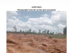 Plateau mining tragedy: Alake warns illegal miners, woos investors to transform abandoned pits