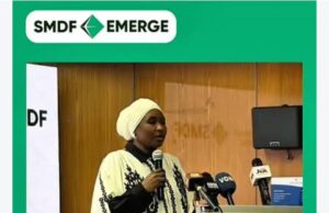 Emerge Moves Into Evaluation Phase As SMDF Targets Nigeria’s $750BN Mineral Potential