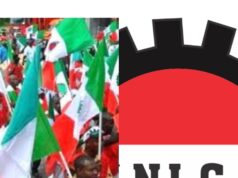 NLC mourns Niger miners, demands accountability, urgent action on child labour